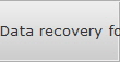 Data recovery for Englewood data